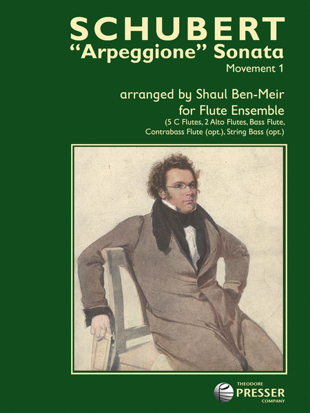 Arpeggione Sonata, Movement 1