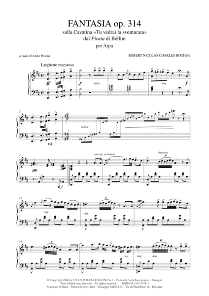 Fantasia on the Cavatina "Tu vedrai la sventurata" from Bellini’s "Pirata" Op. 314 for Harp
