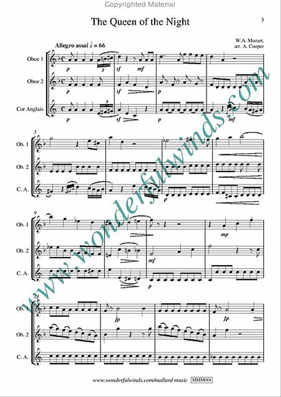 The Queen Of The Night The Queen Of The Night Woodwind Trio scores gallery preview page 2