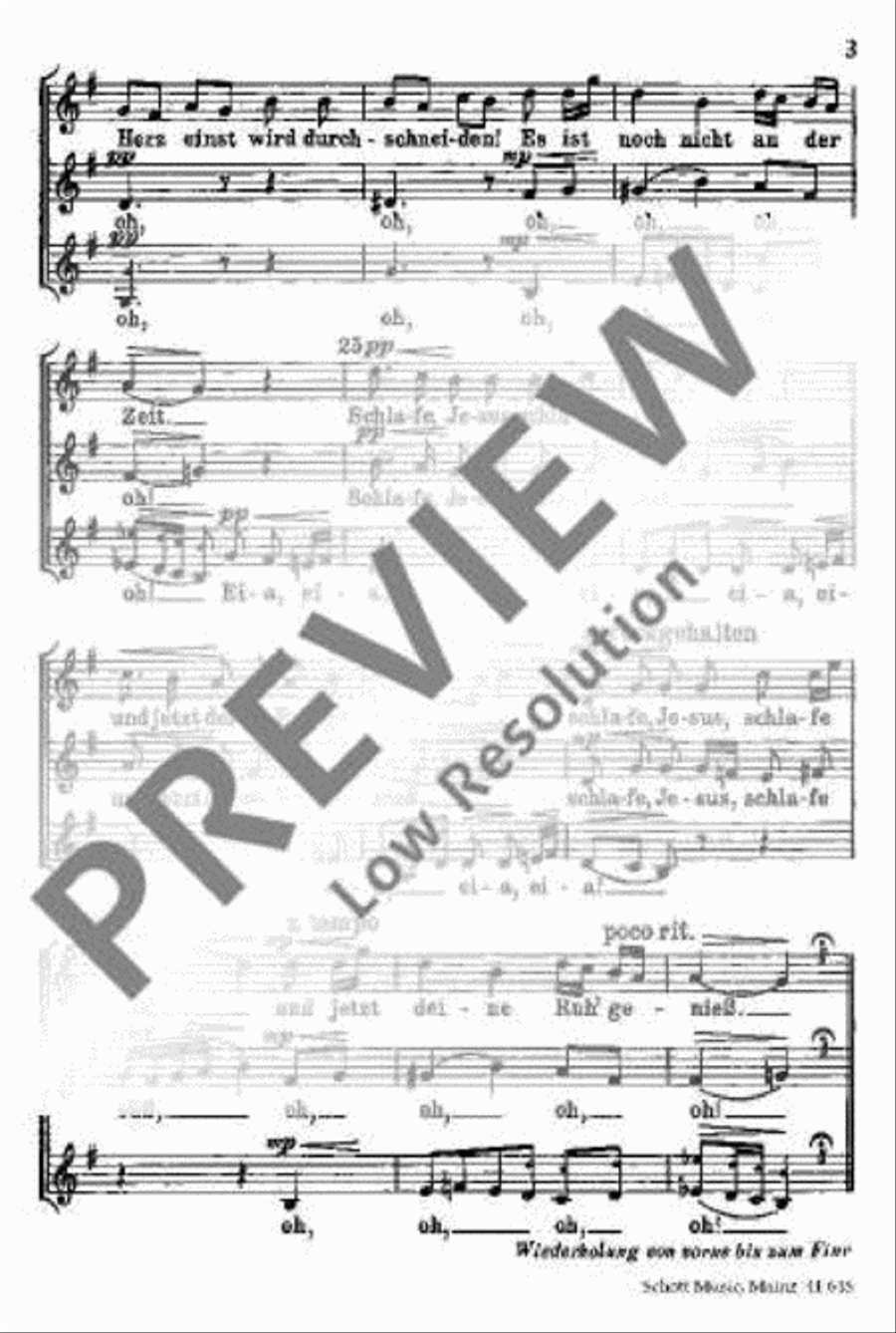Still, o Himmel SSAA scores gallery preview page 4