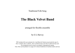 The Black Velvet Band (Flexible Ensemble)