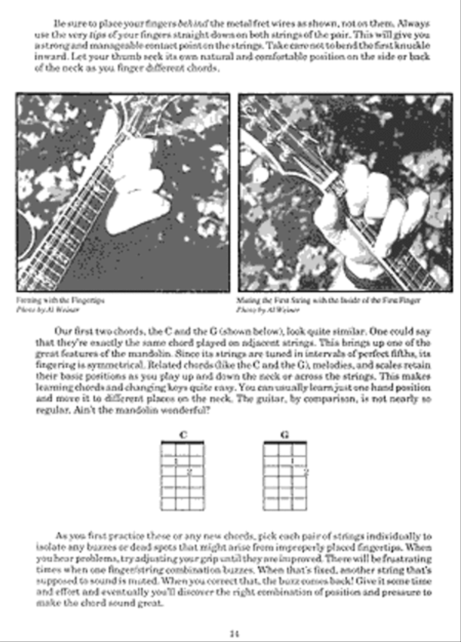 You Can Teach Yourself Mandolin Bluegrass Fiddle scores gallery preview page 4