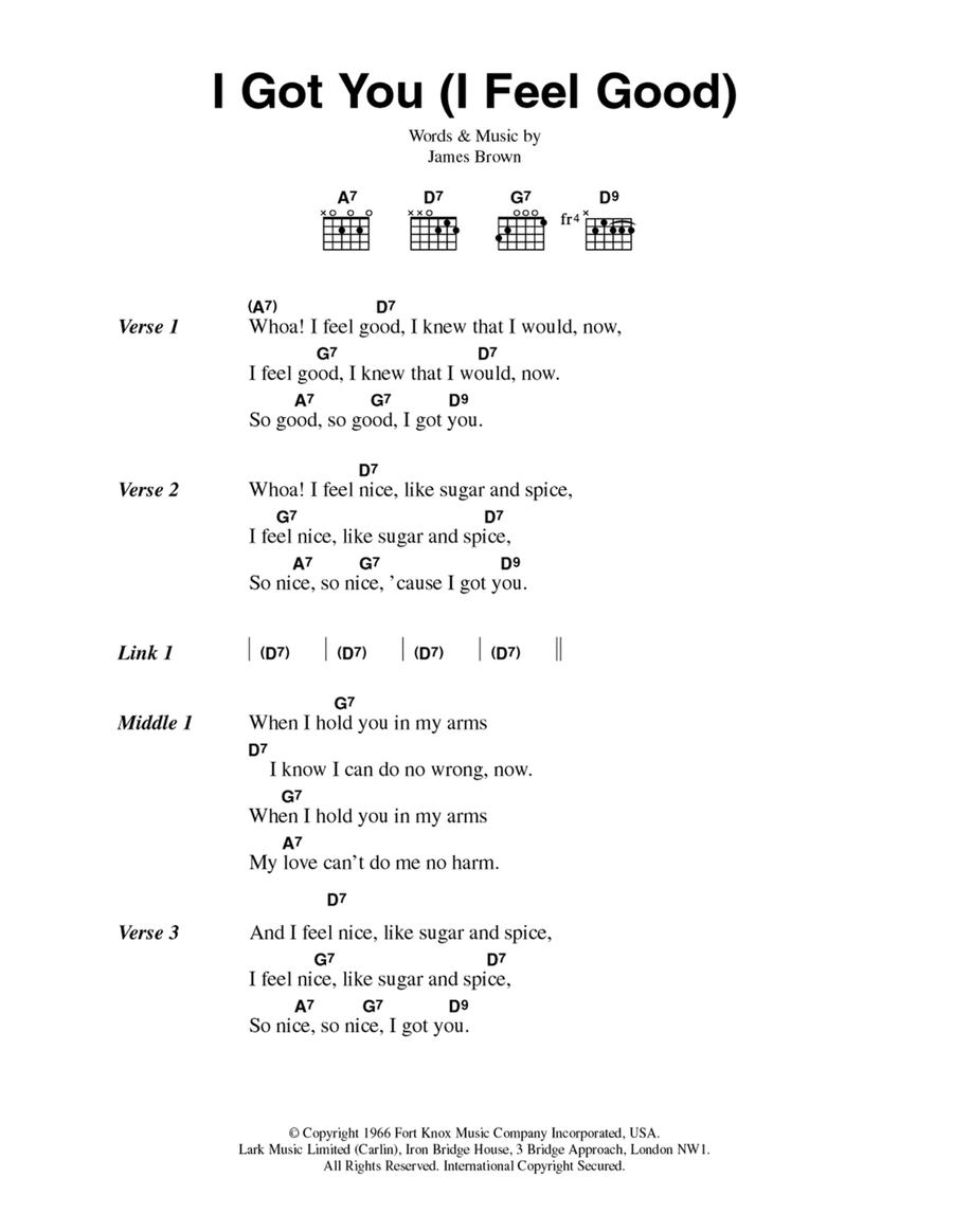 I Got You (I Feel Good) Acoustic Guitar scores gallery preview page 1