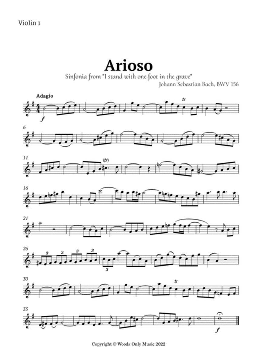 Arioso by Bach for Violin Quartet image number null