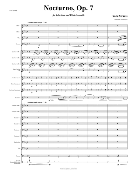 Nocturno, Op. 7 for Horn Solo and Wind Ensemble image number null