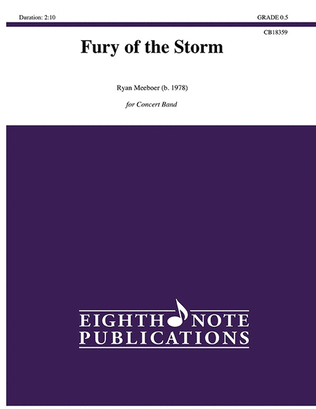 Book cover for Fury of the Storm