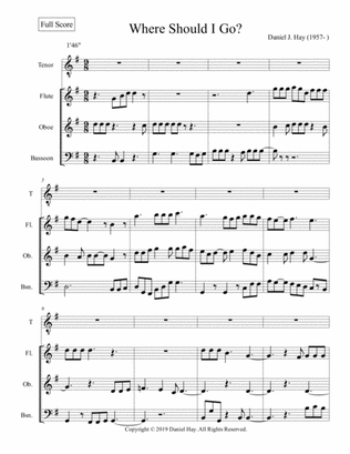 Where Should I Go? (Opus 720) (Tenor, Flute, Oboe, Bassoon) [Full Score] - Score Only