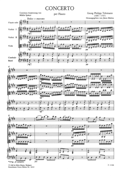 Concerto for flute in E major