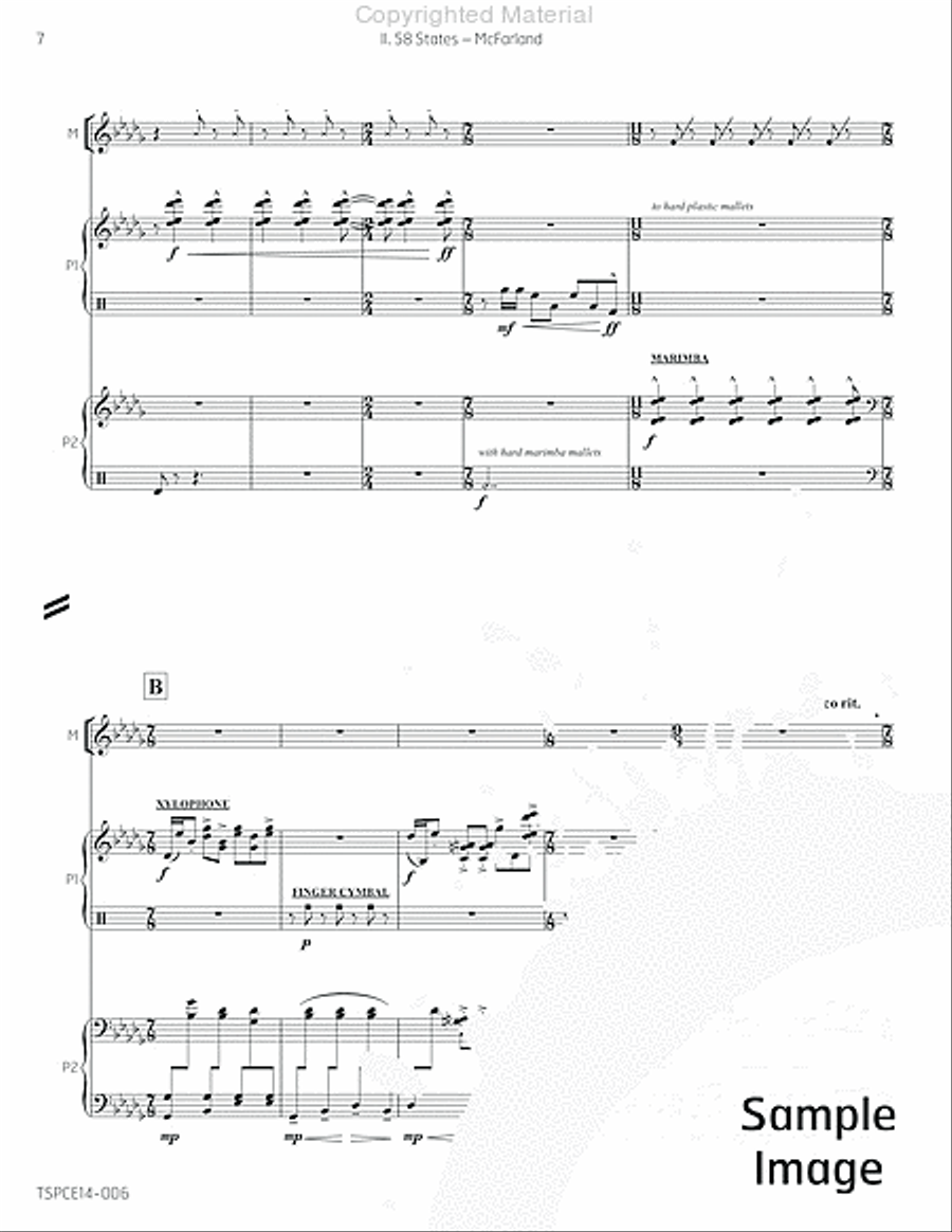 5 Songs in the Age of Stupidity Percussion Ensemble scores gallery preview page 13