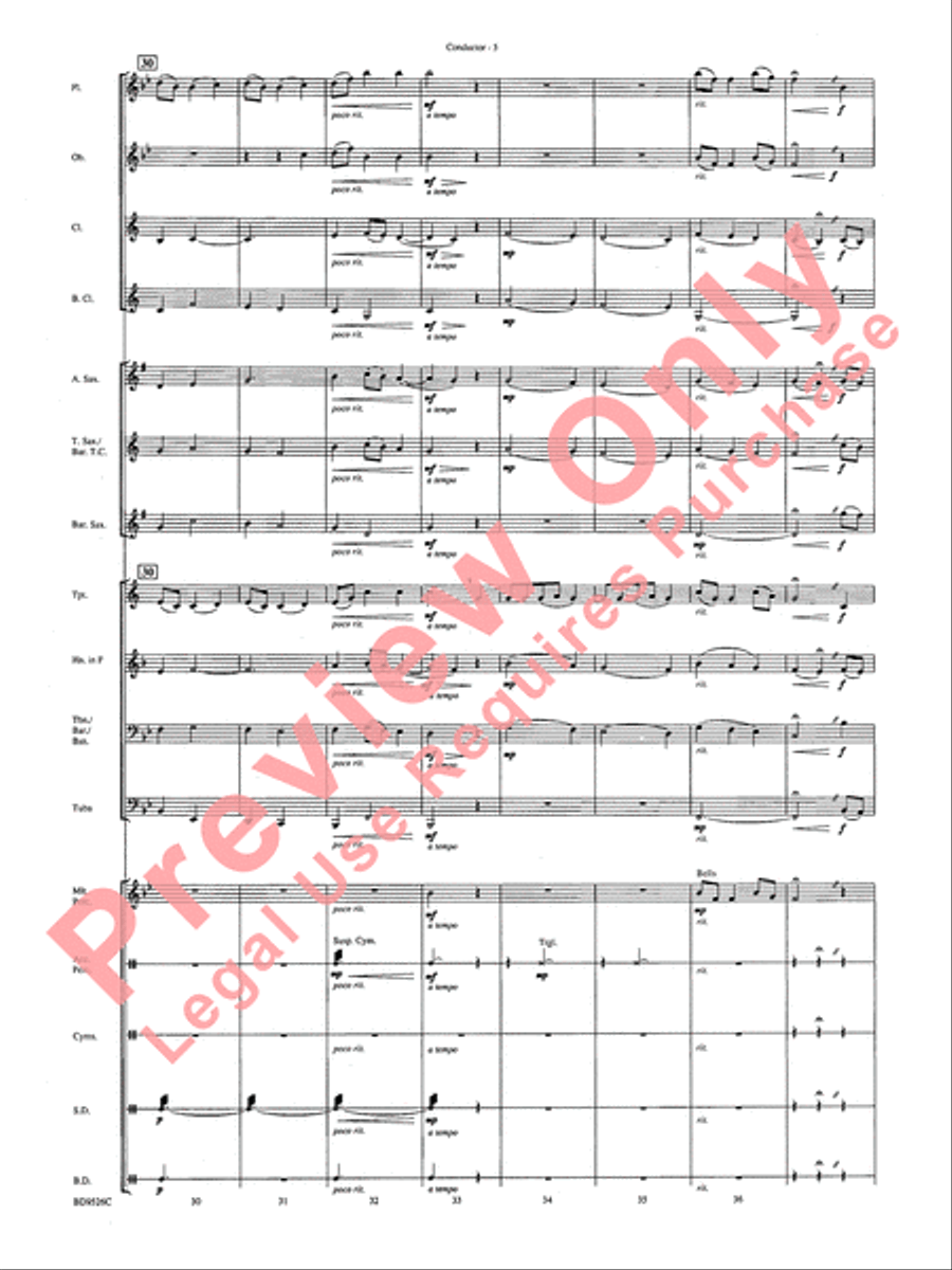 Brother James' Air Concert Band scores gallery preview page 7