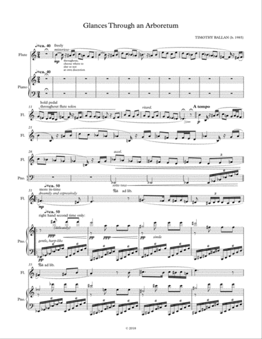 Glances Through an Arboretum Flute Solo scores gallery preview page 1