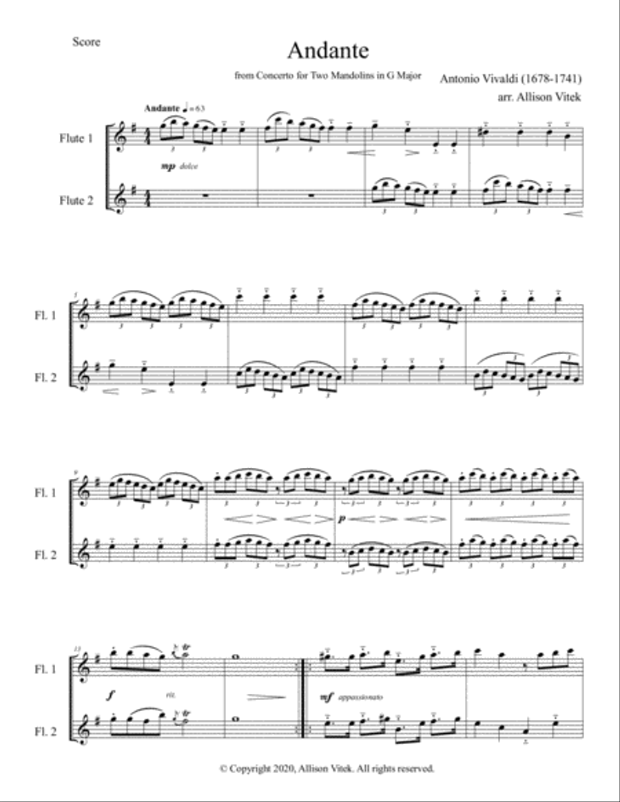 Andante for Two Flutes Flute Duet scores gallery preview page 3