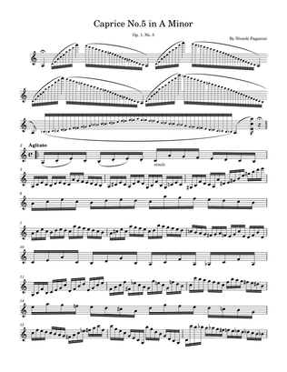 Solo Violin 24 Caprice No. 5 in A Minor - N. Paganini, Op. 1, No. 5