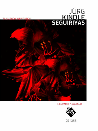 Book cover for Flamenco Inspiration