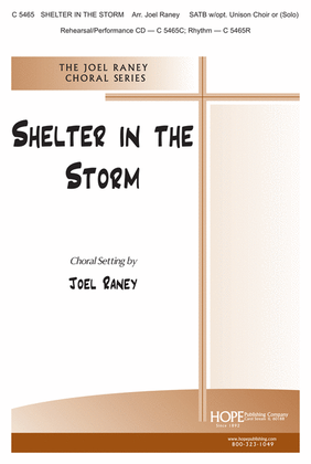 Book cover for Shelter in the Storm