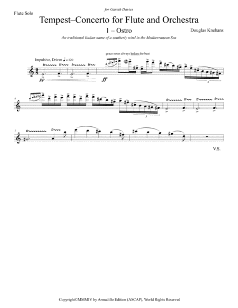 Tempest-Concerto for Flute and Orchestra (Piano Reduction)