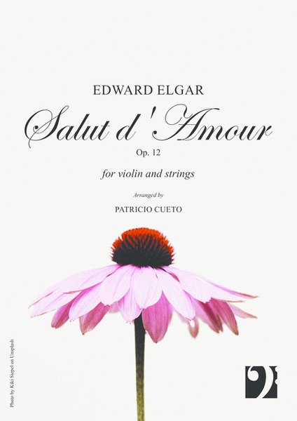 Salut d'amour - for violin and string orchestra
