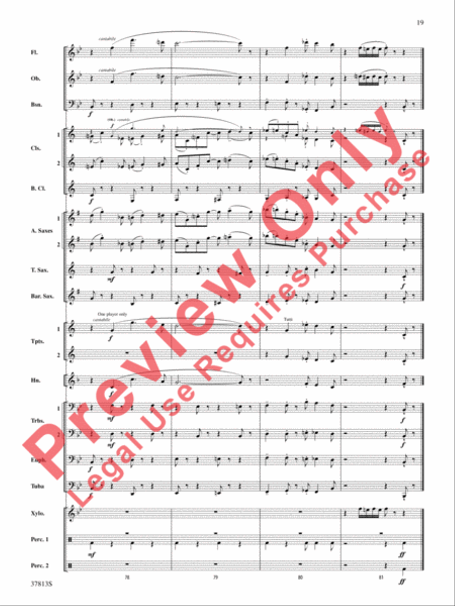 Ants in My Pants Concert Band scores gallery preview page 19