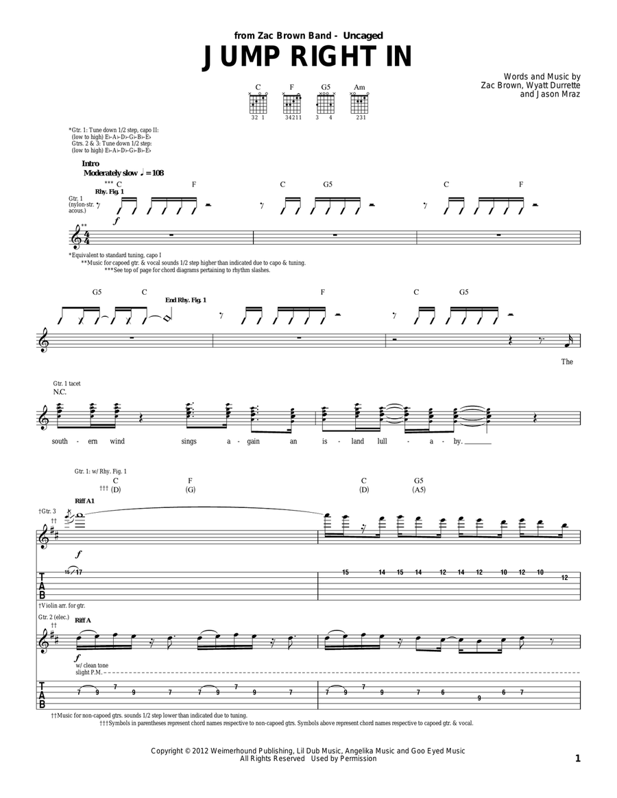 Jump Right In Acoustic Guitar scores gallery preview page 1