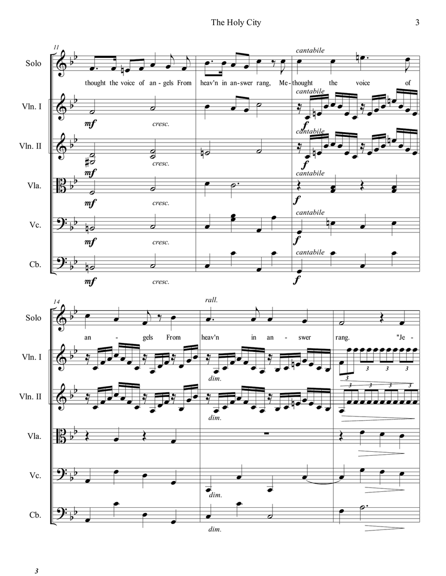 The Holy City, Vocal or Instrumental Solo, With String Ensemble Accompaniment Chamber Orchestra scores gallery preview page 3