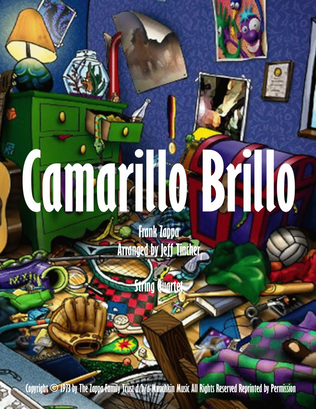 Book cover for Camarillo Brillo
