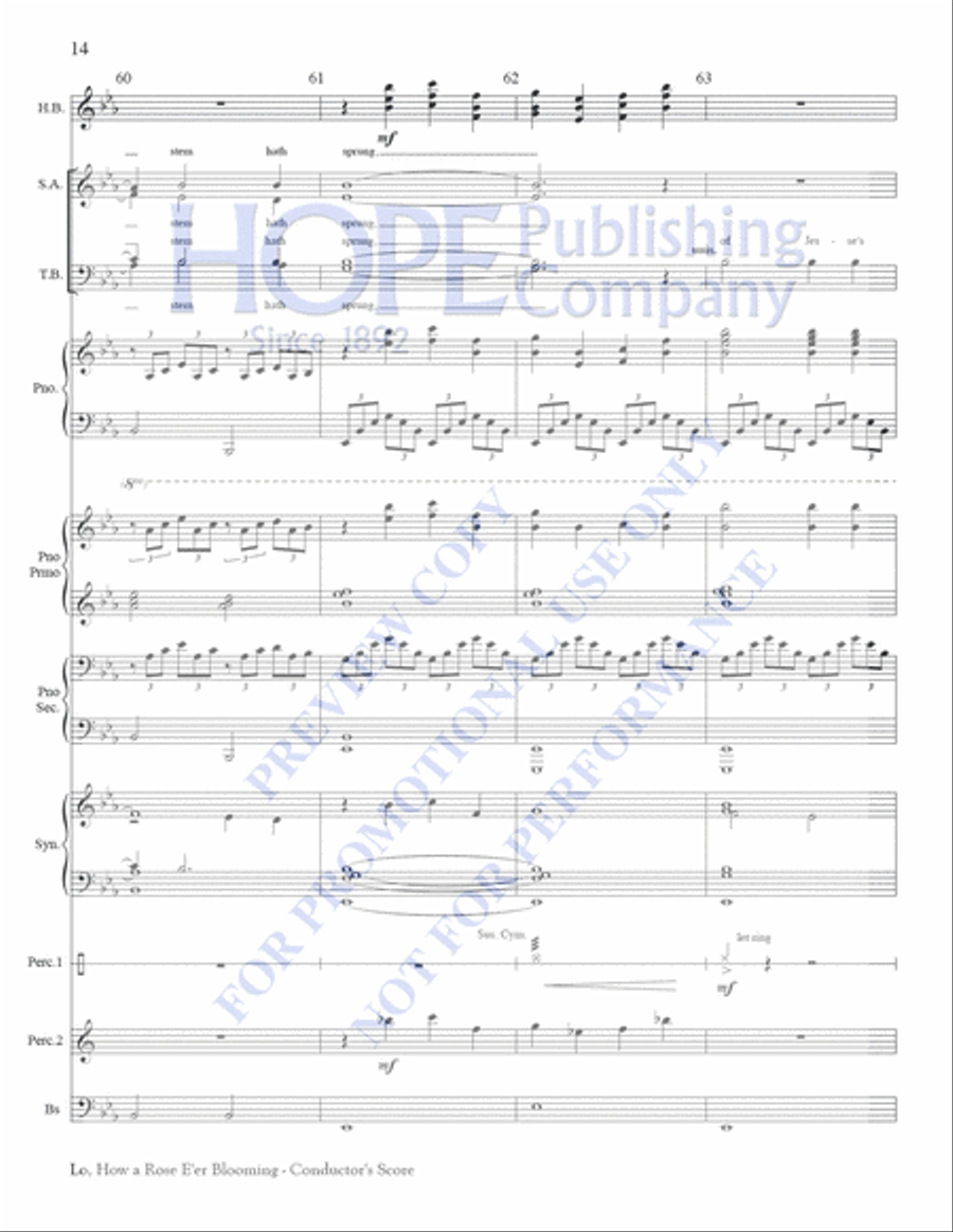 Lo, How a Rose E'er Blooming 3-Octaves scores gallery preview page 14