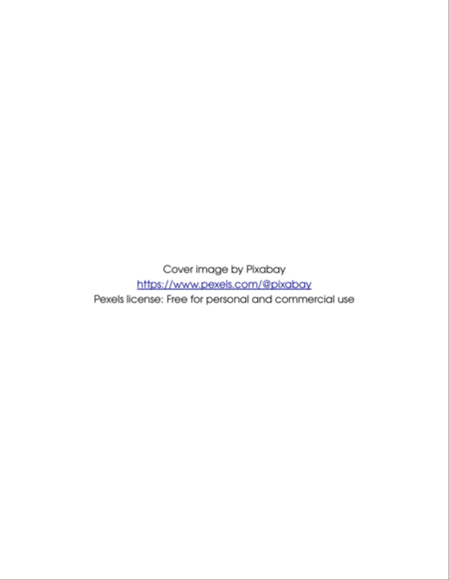 blocks String Quartet scores gallery preview page 2