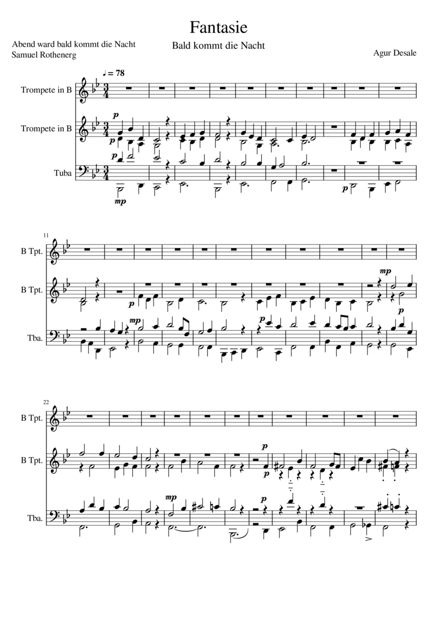 Bald kommt die Nacht_Fantasie Brass Ensemble scores gallery preview page 1