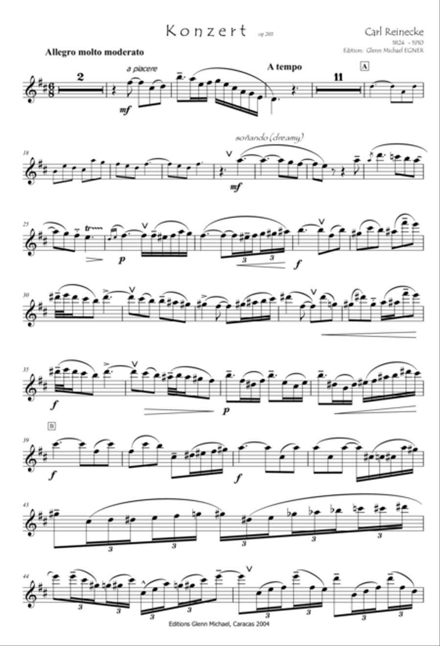 Concerto for Flute Full Orchestra scores gallery preview page 2