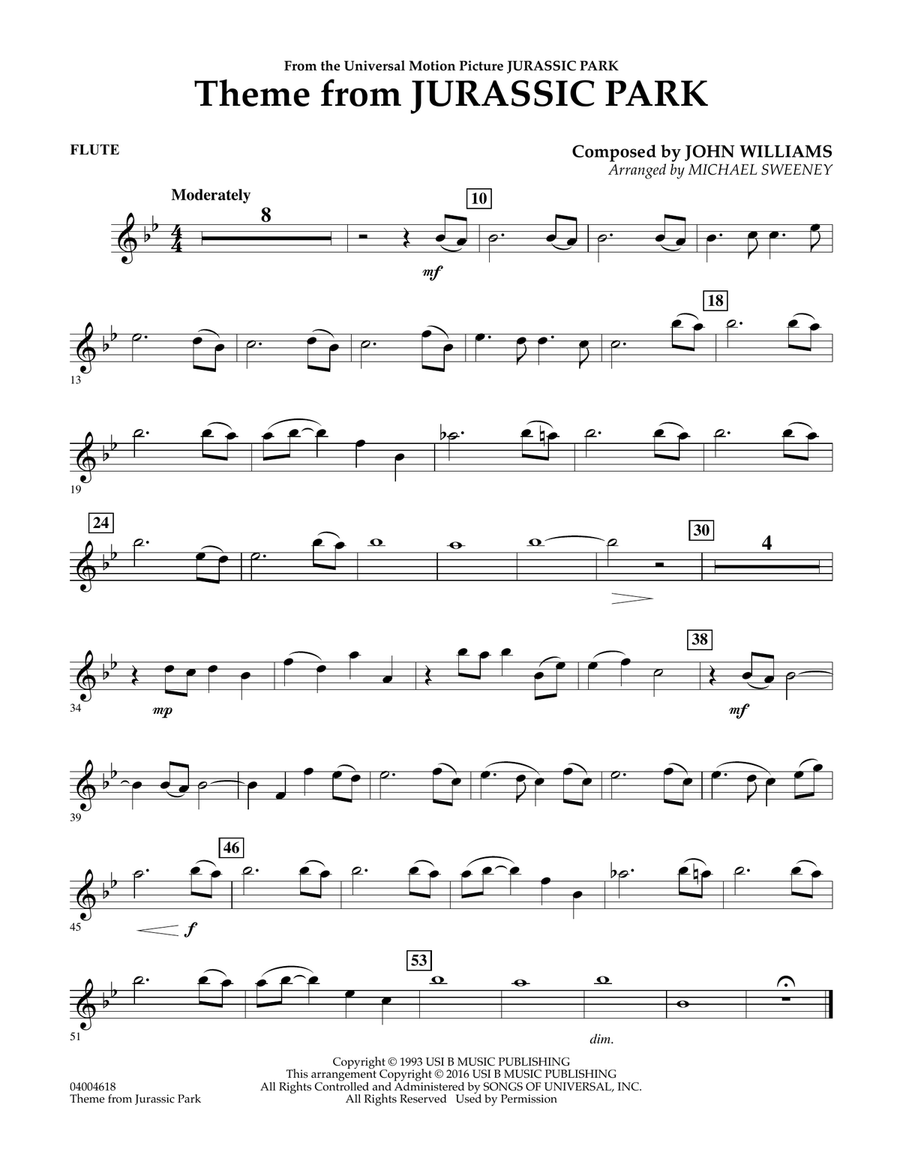 Theme from Jurassic Park Flute by Michael Sweeney Flute
