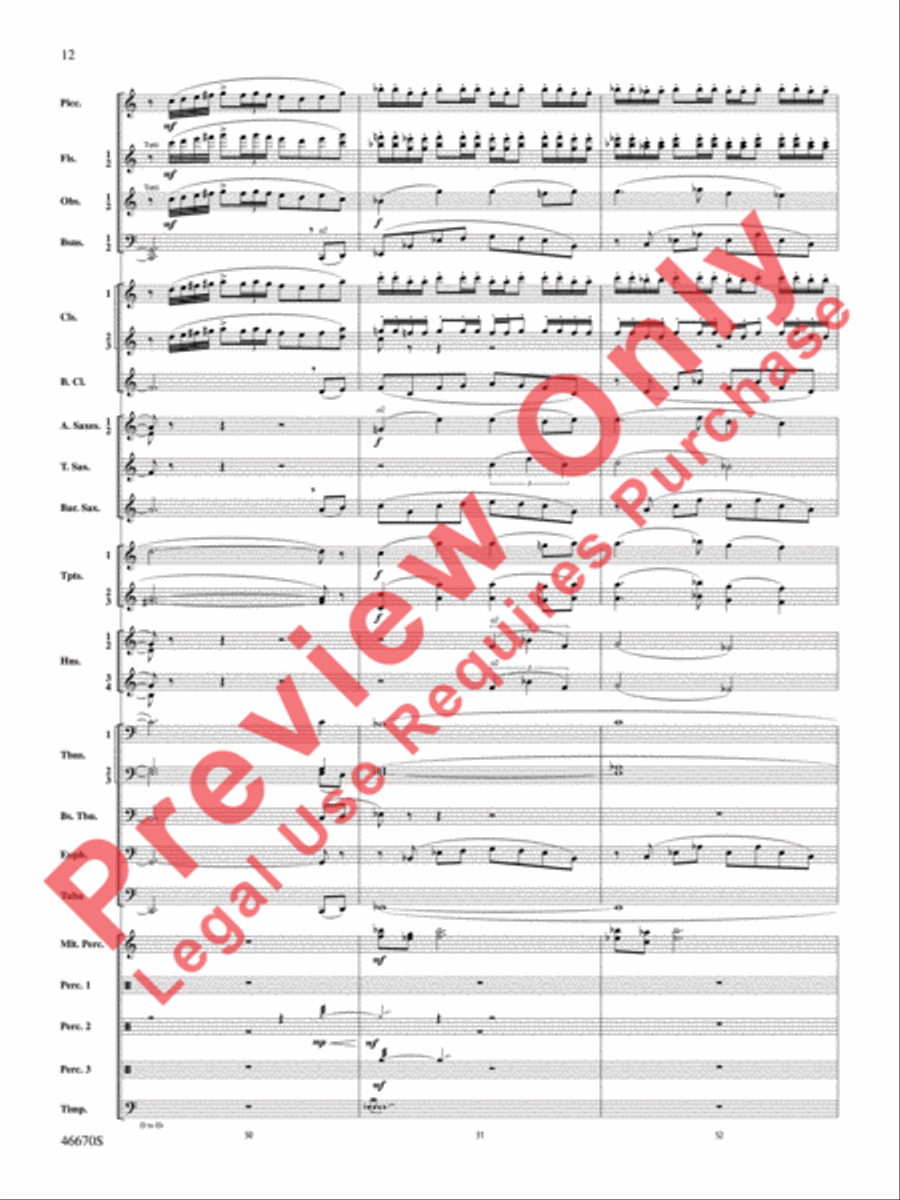 The Falls Concert Band scores gallery preview page 13