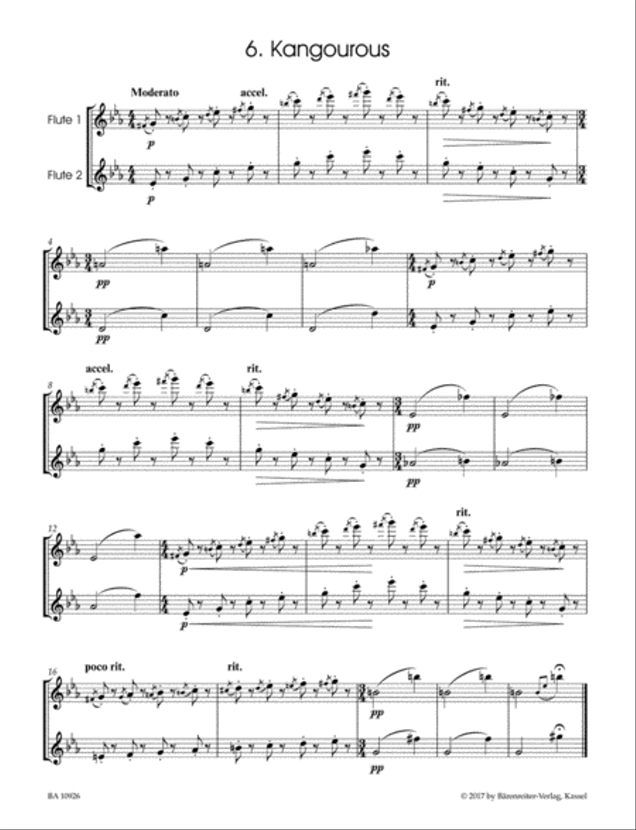 The Carnival of the Animals for two Flutes Flute Duet scores gallery preview page 3