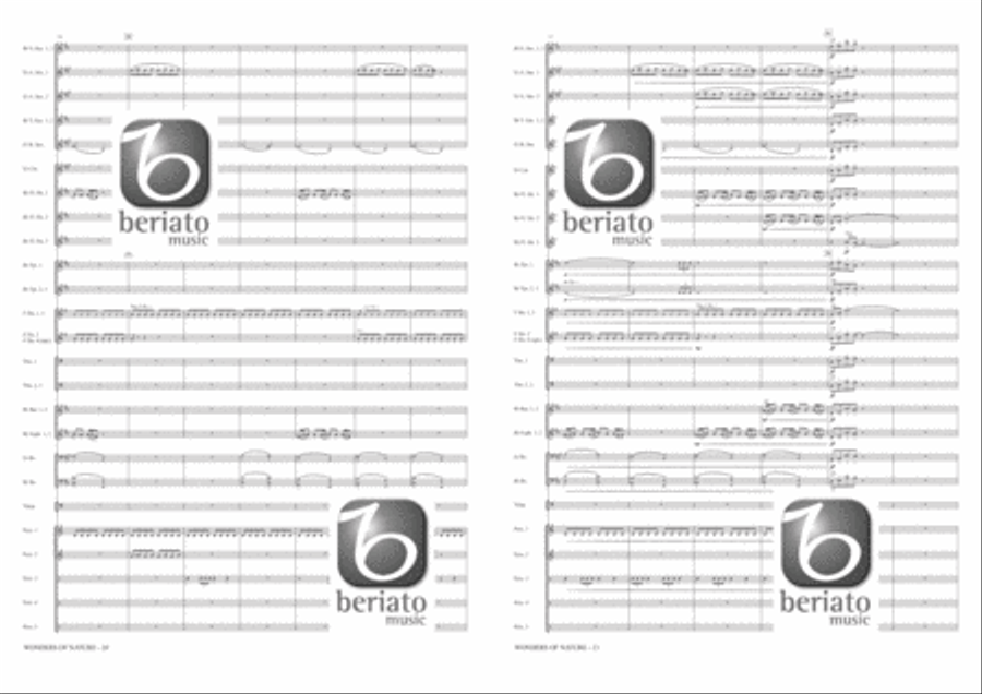 Wonders of Nature Fanfare Band scores gallery preview page 9