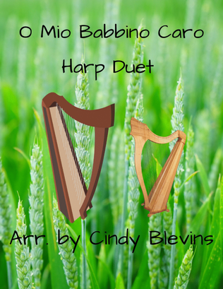 O Mio Babbino Caro, for Harp Duet