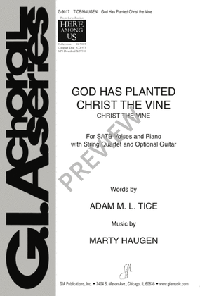 Book cover for God Has Planted Christ the Vine