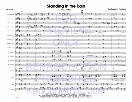 Standing In The Rain (You Left Me) (Full Score)