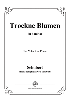 Schubert-Trockne Blumen,from 'Die Schöne Müllerin',Op.25 No.18,in d minor,for Voice&Piano