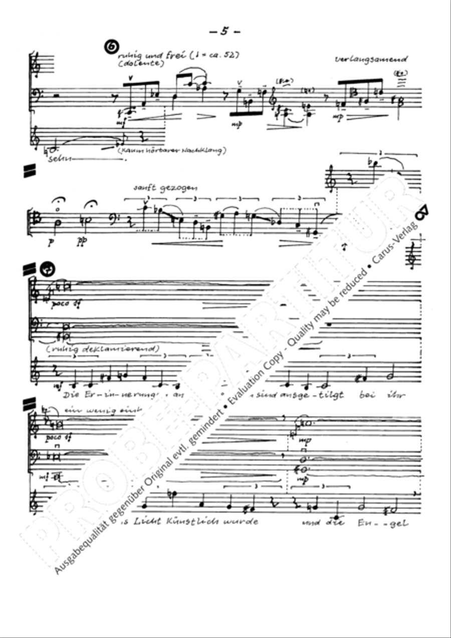 Todesblumen Flute scores gallery preview page 8