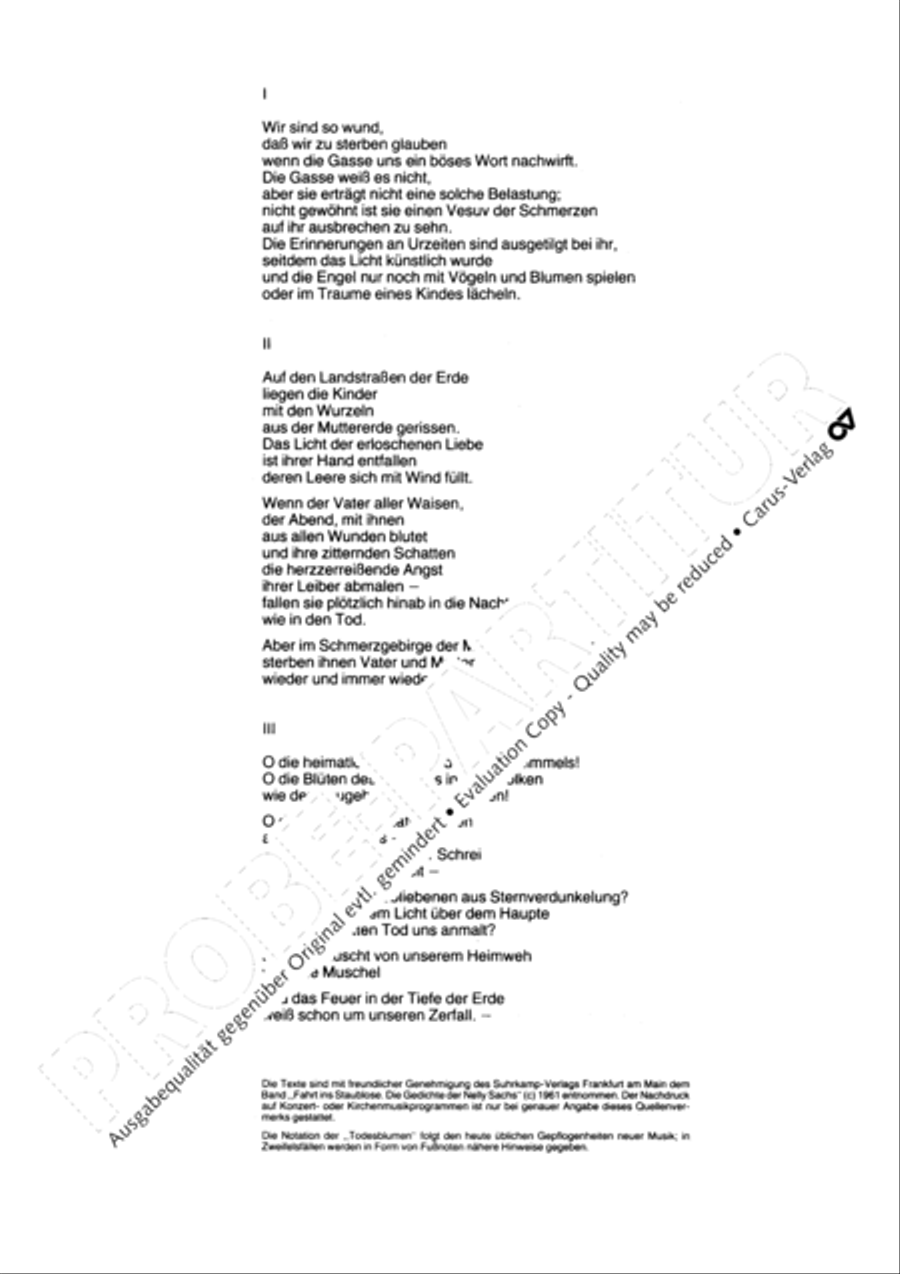 Todesblumen Flute scores gallery preview page 4