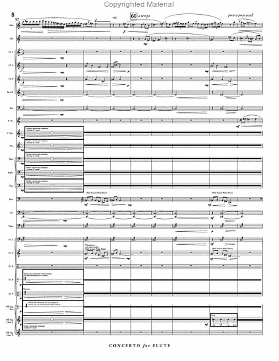 Concerto for Flute & Wind Ensemble Concert Band scores gallery preview page 9