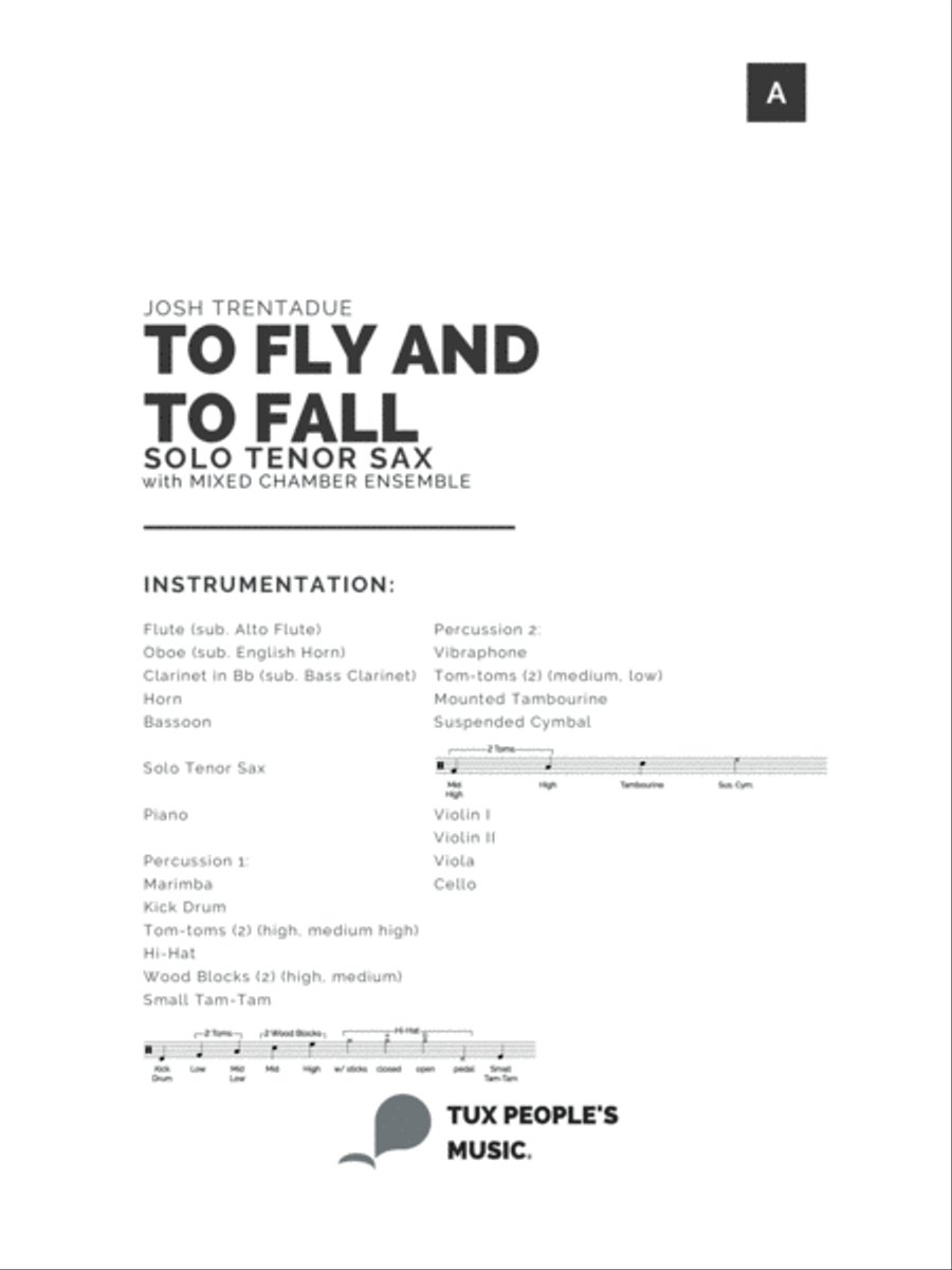 To fly and to fall (Concerto for Tenor Saxophone & Chamber Ensemble) Bassoon scores gallery preview page 2