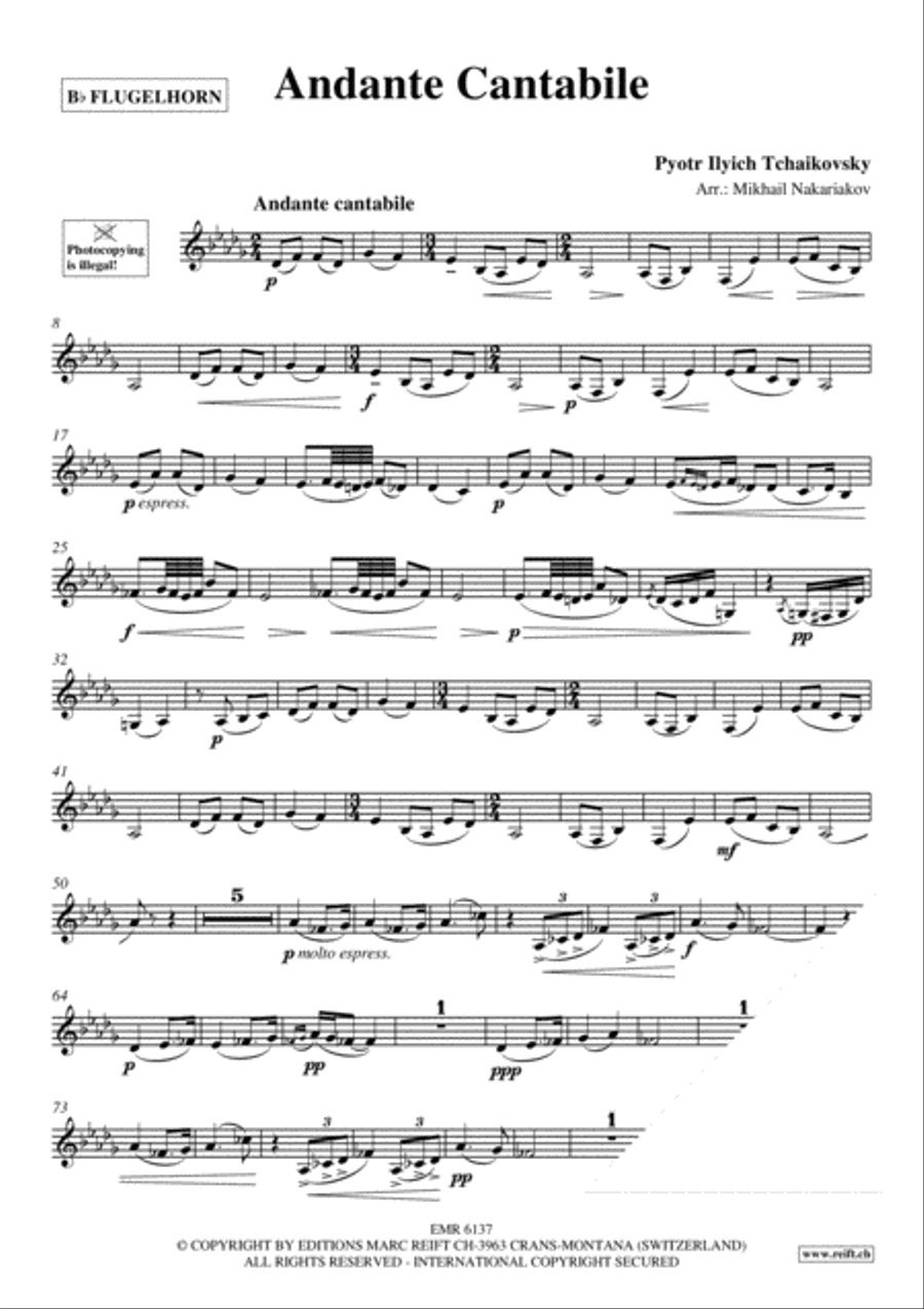 Andante Cantabile image number null