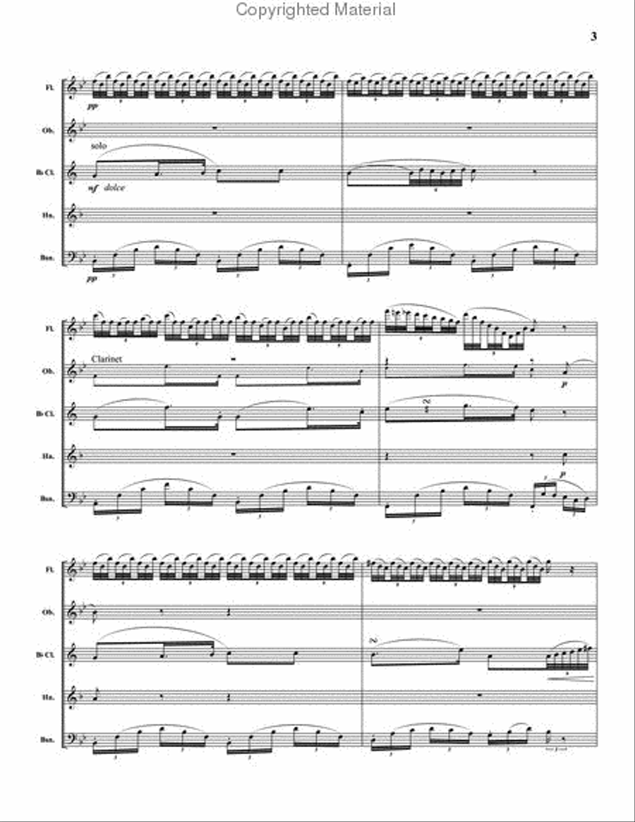 Potpourri Fantastico Woodwind Quintet scores gallery preview page 4