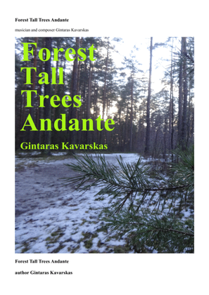 Forest Tall Trees Andante