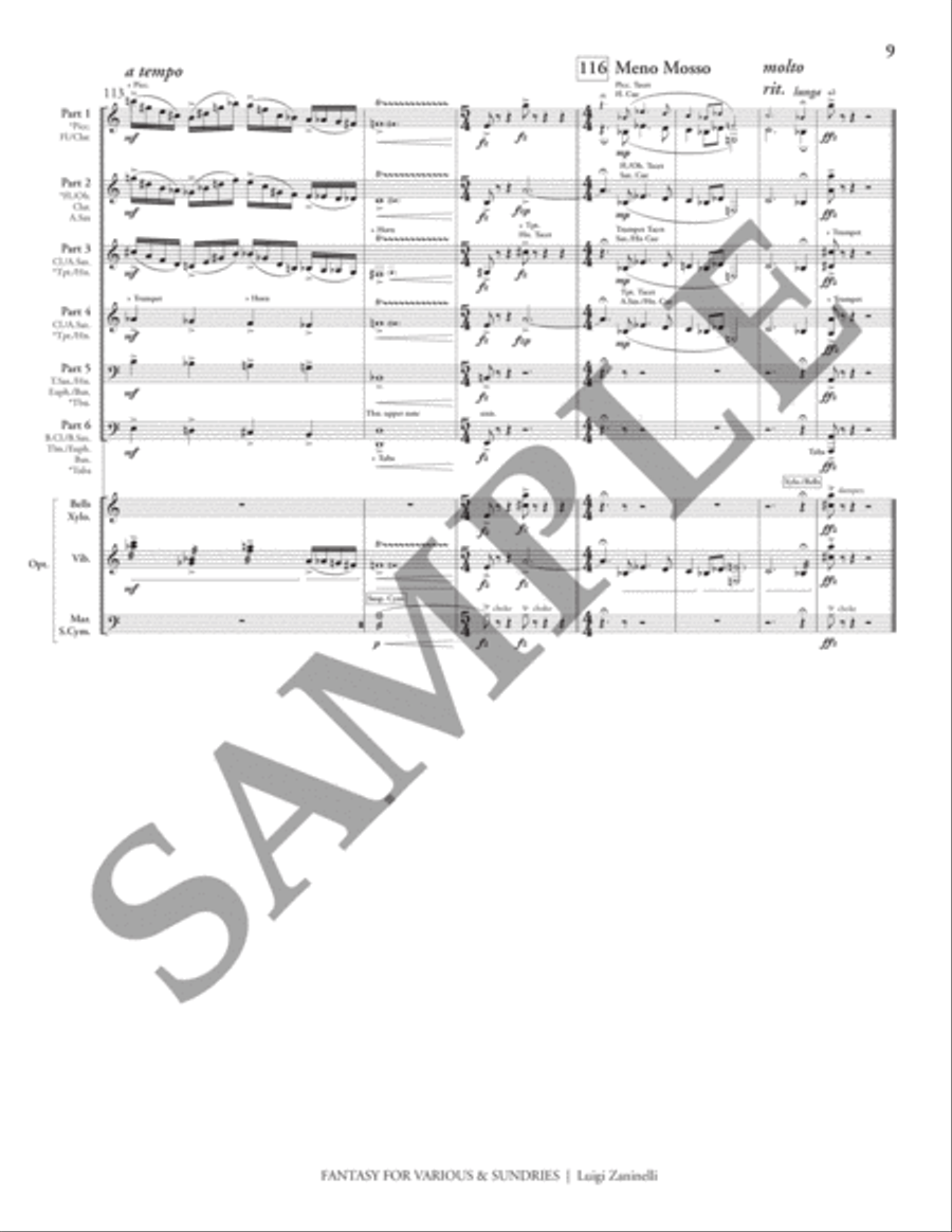 Fantasy for Various & Sundries (condensed score) Flexible/Adaptable scores gallery preview page 12