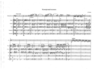 D.Popper: Polonaise de Concert, Op.14