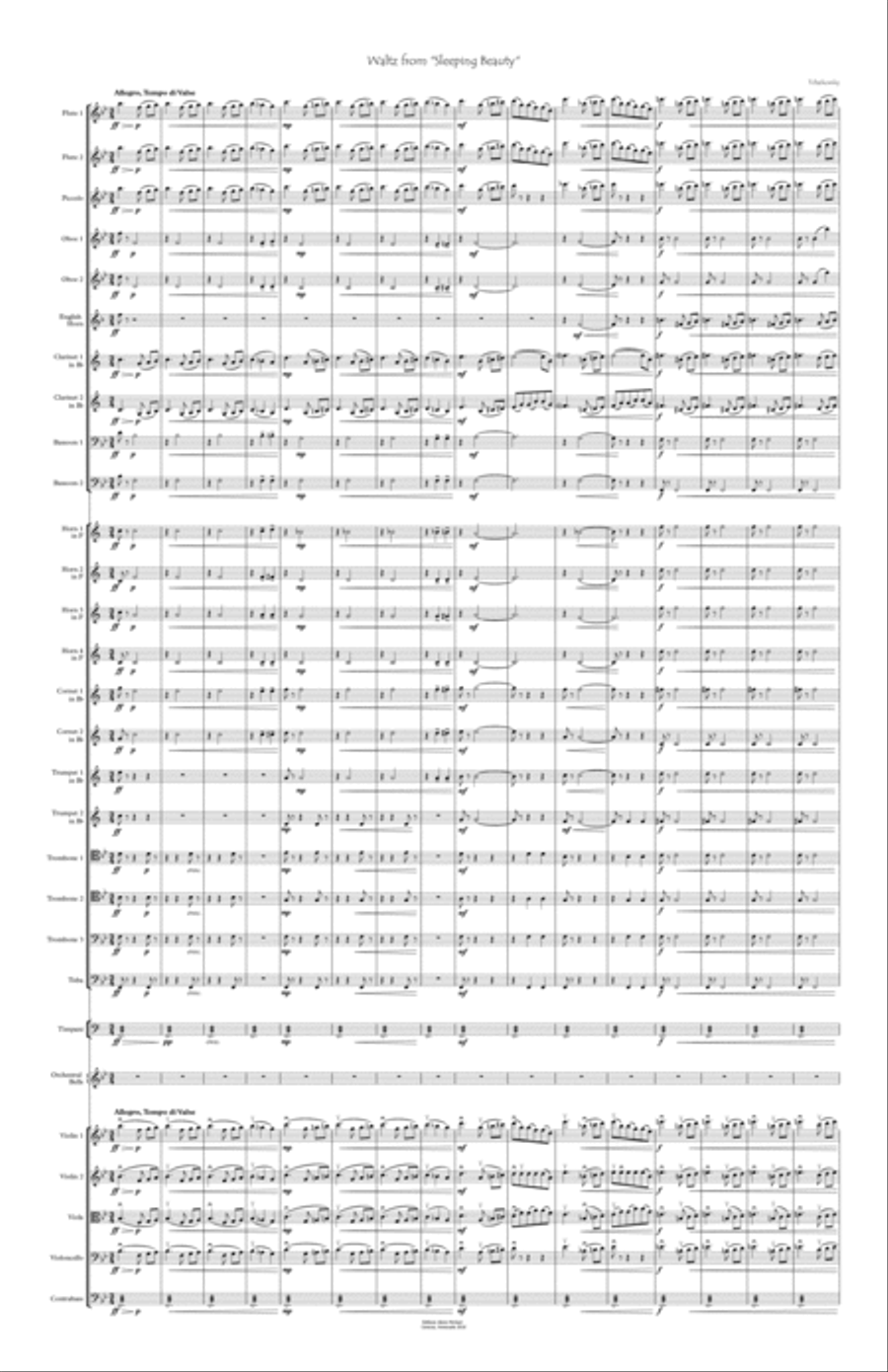 Sleeping Beauty Waltz for orchestra Full Orchestra scores gallery preview page 1
