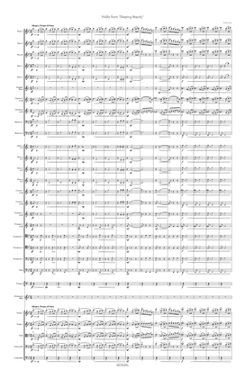 Sleeping Beauty Waltz for orchestra