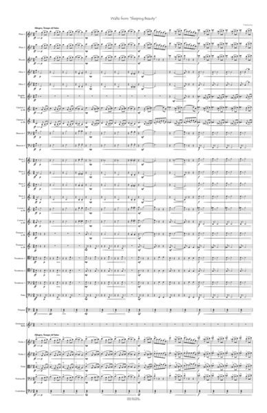 Sleeping Beauty Waltz for orchestra image number null