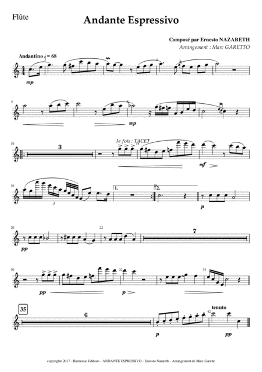 Andante Espressivo - Ernesto NAZARETH - for Chamber Orchestra Chamber Orchestra scores gallery preview page 1